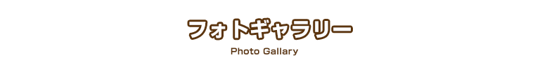 フォトギャラリー Photo Gallary