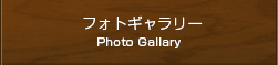 フォトギャラリー Photo Gallary