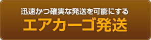 迅速かつ確実な発送を可能にする   エアカーゴ発送